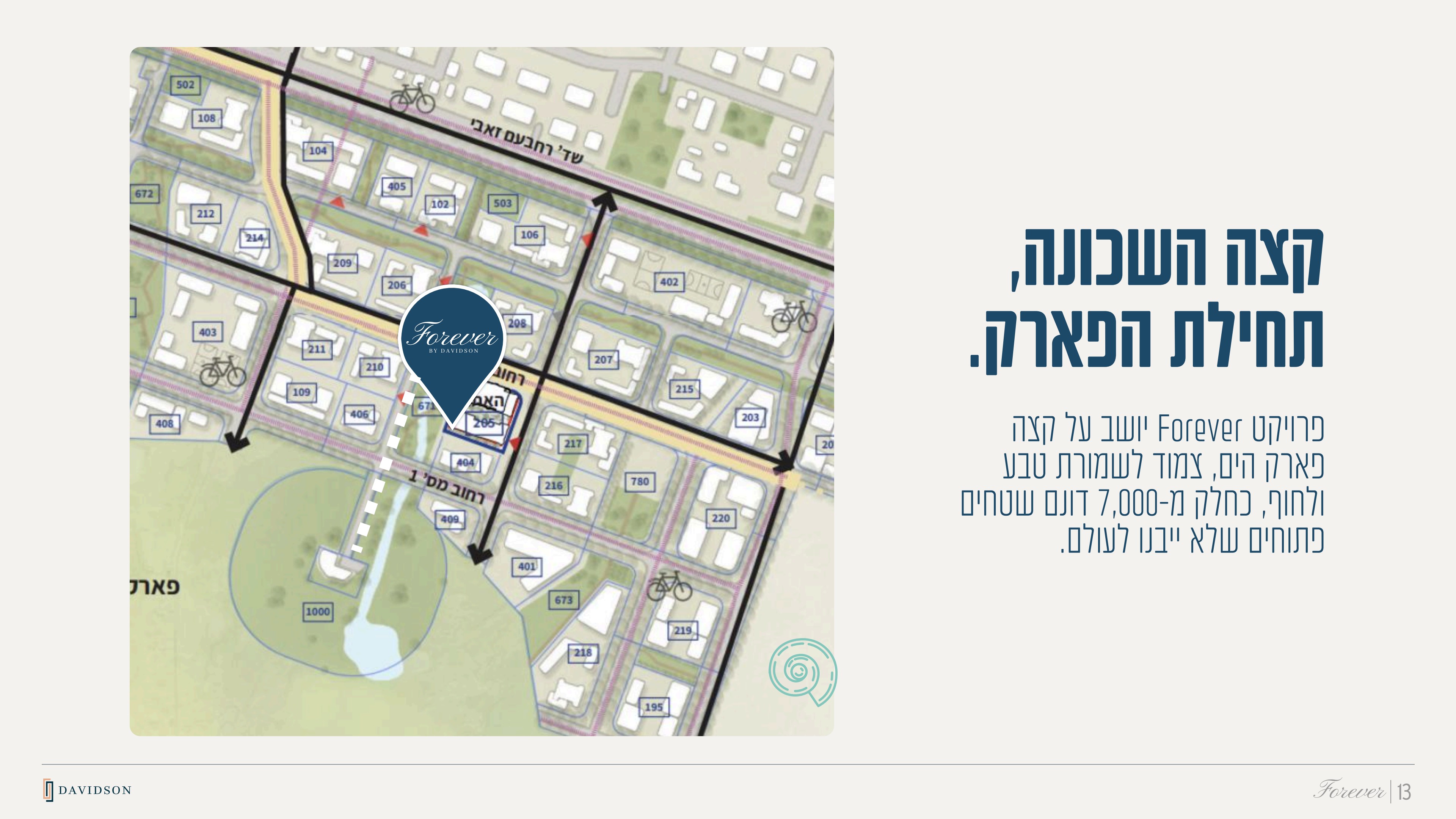 שקופית 13